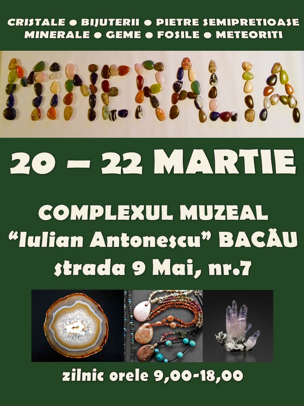 afis mineralia Bacau 2015 (1)